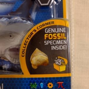 New sealed Shark tooth dig kit